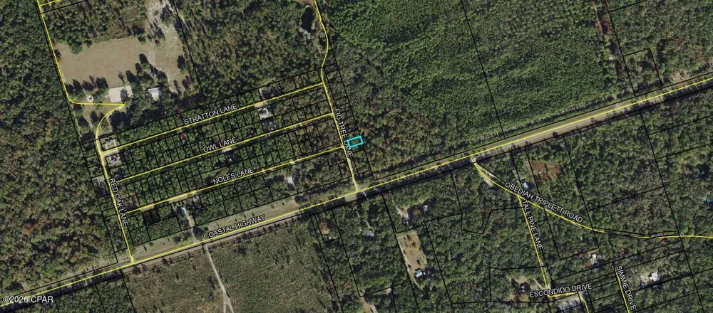 5 Fig Tree Lane Crawfordville, FL 32327
