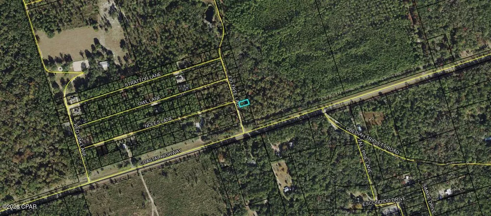 4 Fig Tree Lane Crawfordville, FL 32327