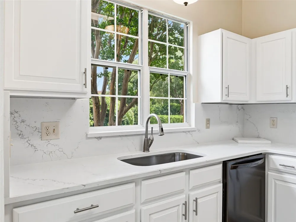 1256 AVENIDA DE LAS CASAS Lady Lake, FL 32159