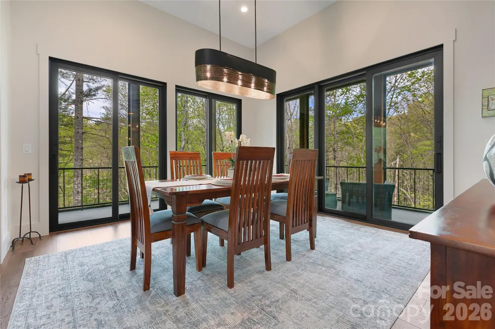 726 Ugugu Drive Brevard, NC 28712
