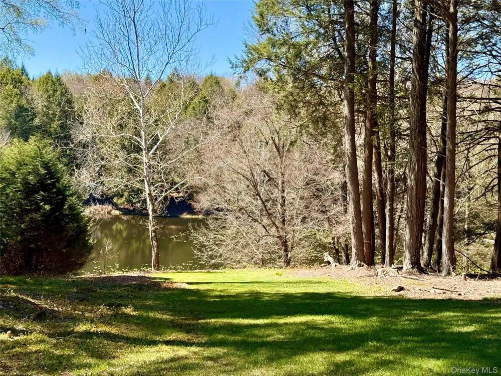 61 Pioneer Drive Swan Lake, NY 12783