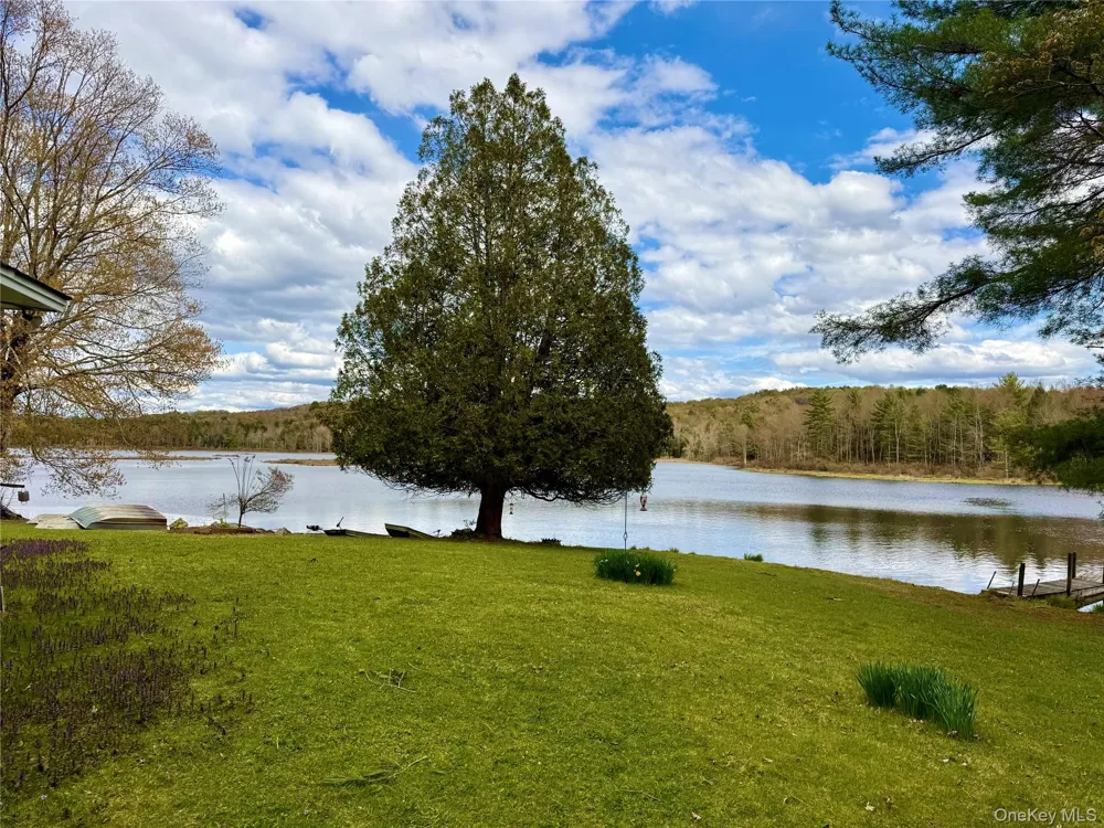 61 Pioneer Drive Swan Lake, NY 12783