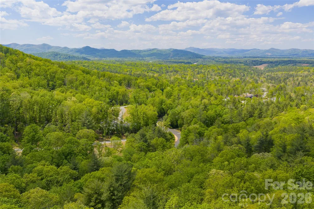 693 Tea House Drive #905 Asheville, NC 28803