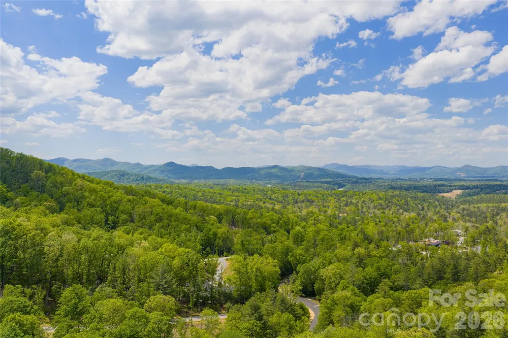 693 Tea House Drive #905 Asheville, NC 28803