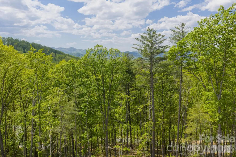 693 Tea House Drive #905 Asheville, NC 28803