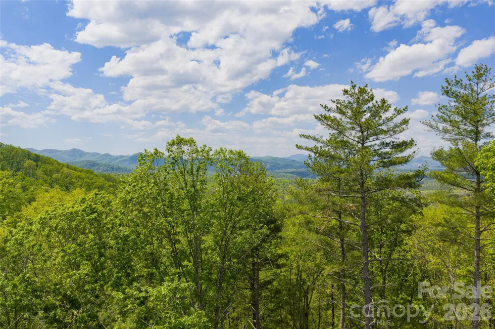 693 Tea House Drive #905 Asheville, NC 28803