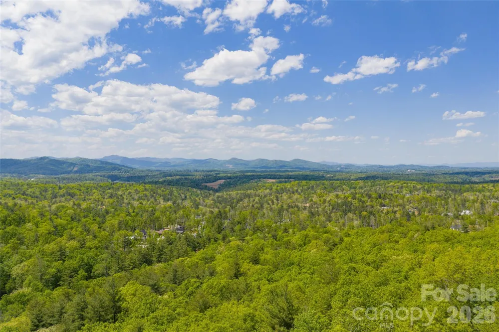 693 Tea House Drive #905 Asheville, NC 28803
