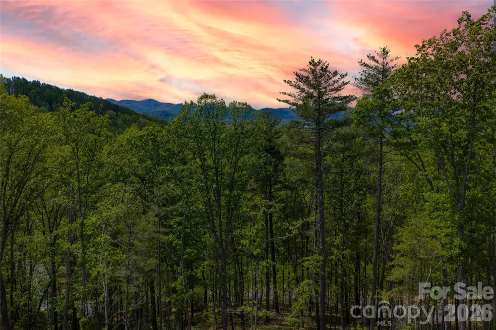 693 Tea House Drive #905 Asheville, NC 28803