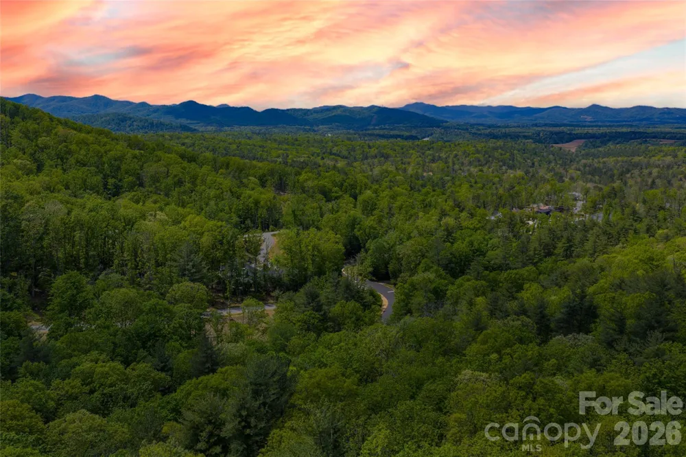 693 Tea House Drive #905 Asheville, NC 28803