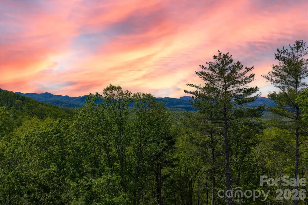 693 Tea House Drive #905 Asheville, NC 28803