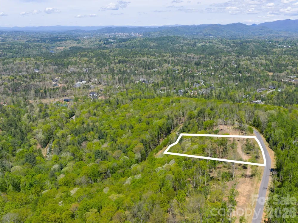 693 Tea House Drive #905 Asheville, NC 28803