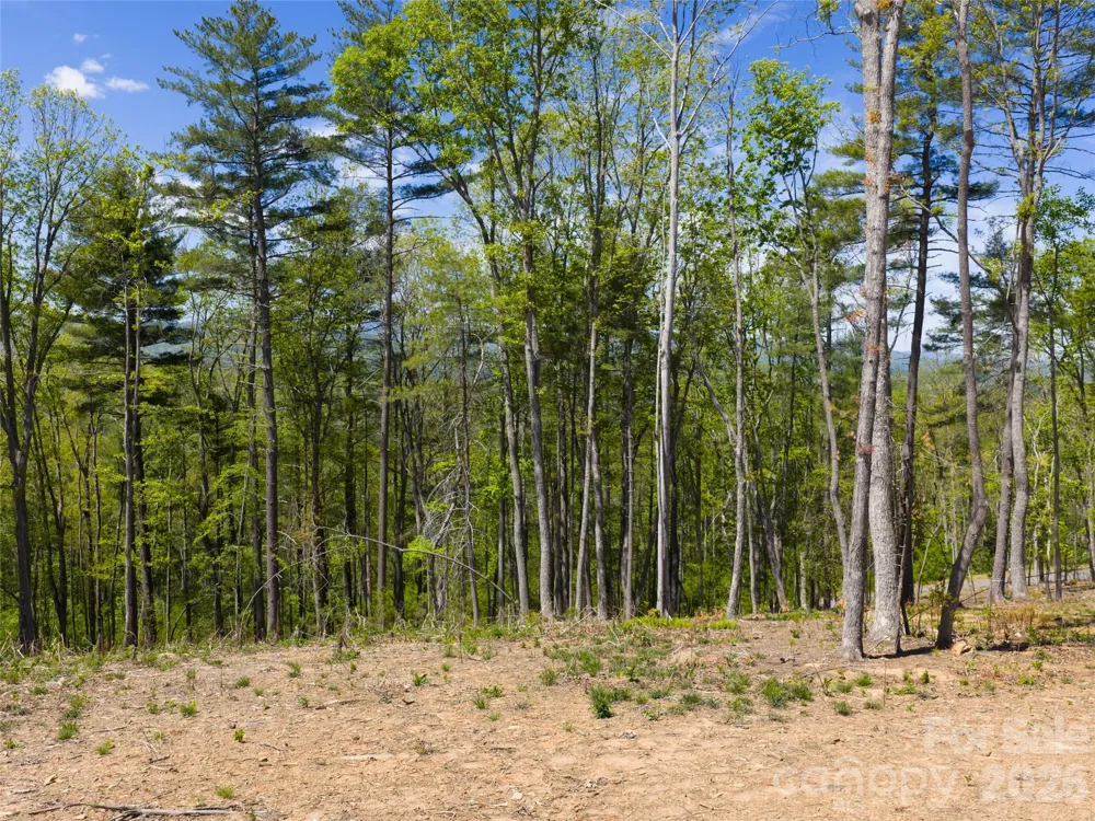 693 Tea House Drive #905 Asheville, NC 28803