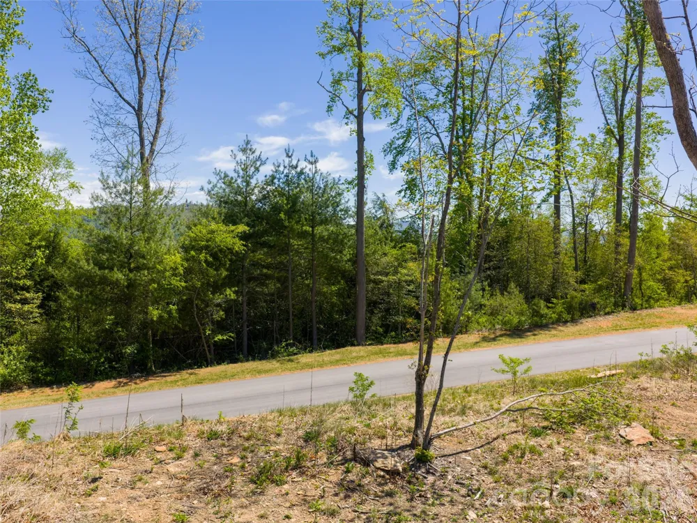 693 Tea House Drive #905 Asheville, NC 28803
