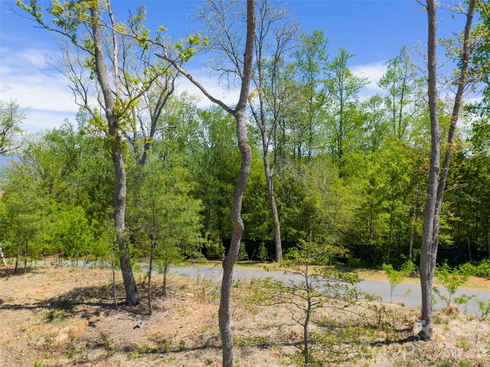 693 Tea House Drive #905 Asheville, NC 28803