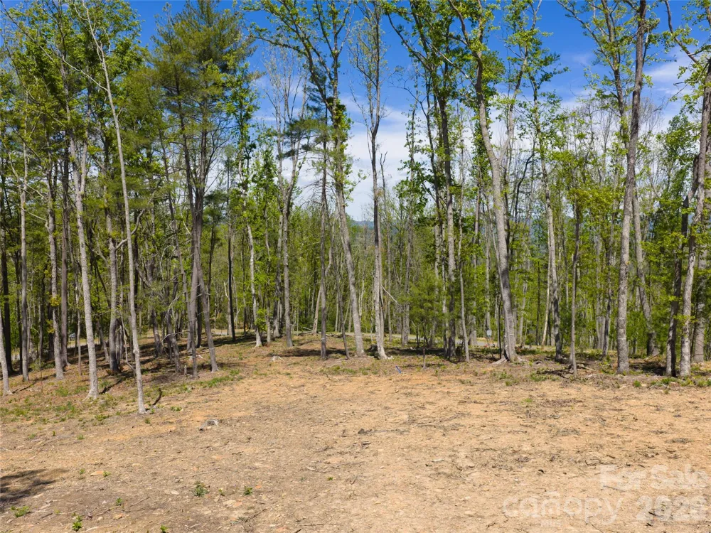 693 Tea House Drive #905 Asheville, NC 28803