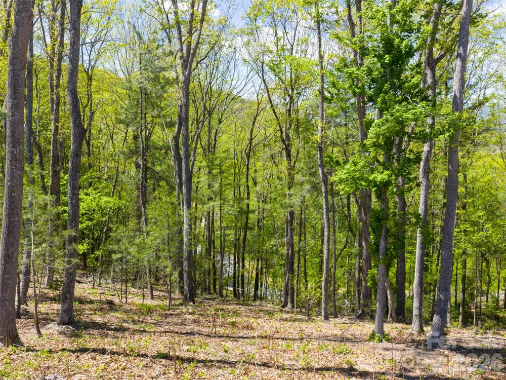 693 Tea House Drive #905 Asheville, NC 28803