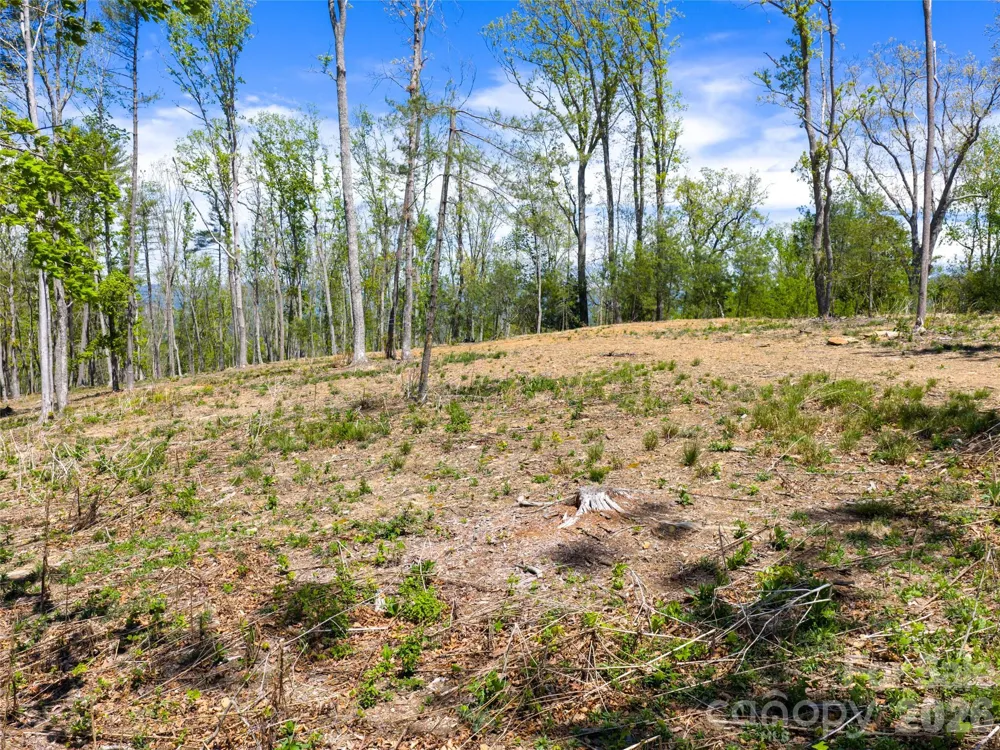 693 Tea House Drive #905 Asheville, NC 28803