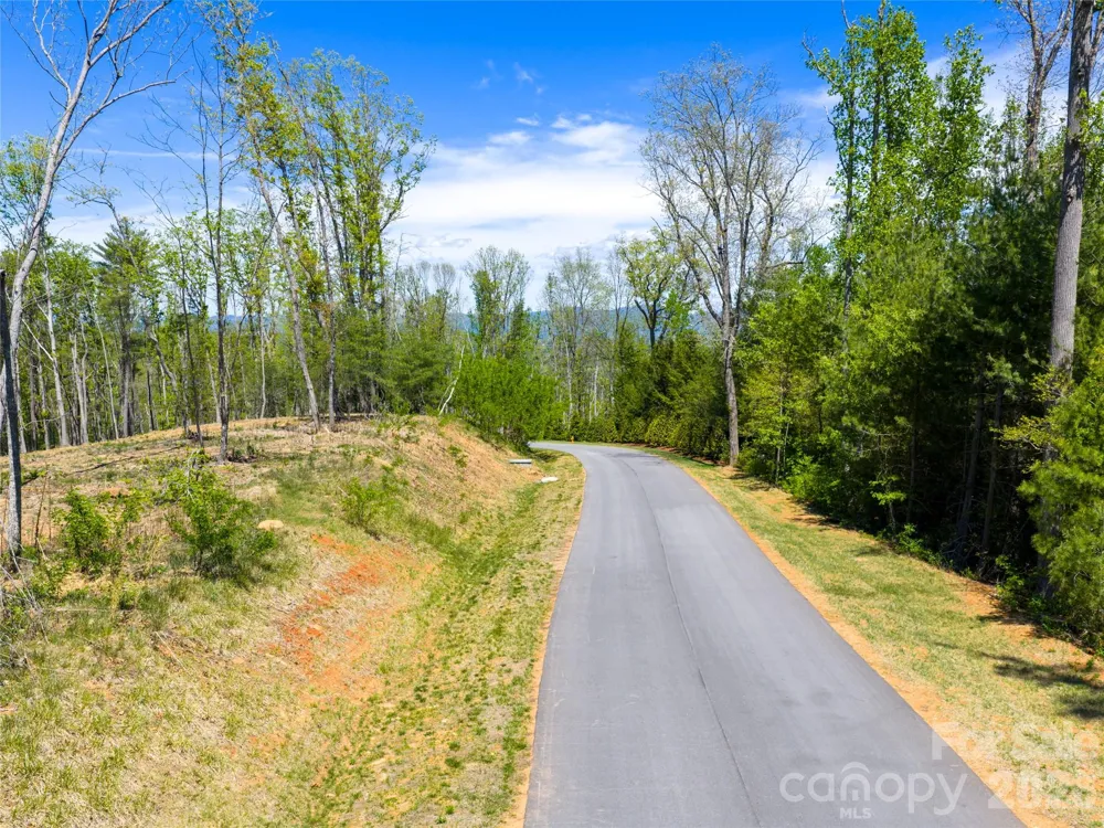 693 Tea House Drive #905 Asheville, NC 28803