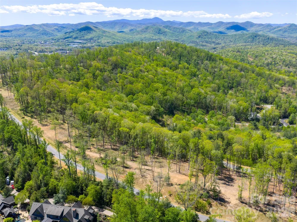693 Tea House Drive #905 Asheville, NC 28803