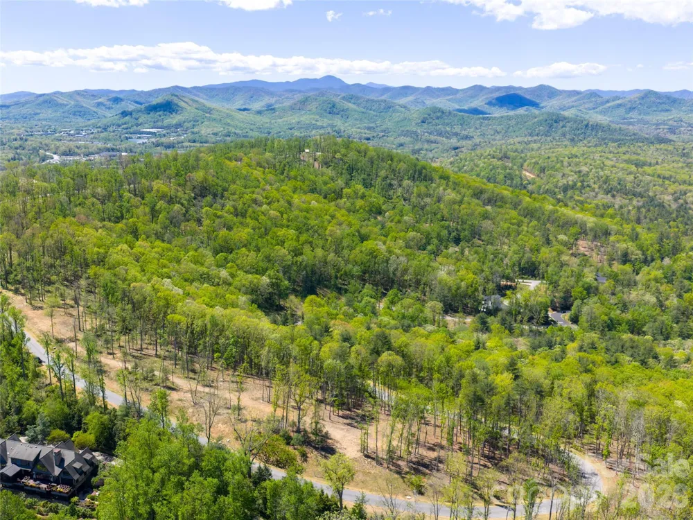 693 Tea House Drive #905 Asheville, NC 28803