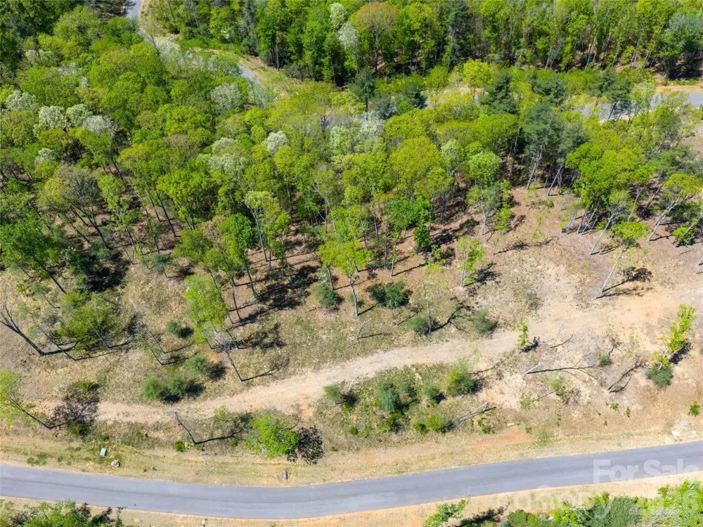 693 Tea House Drive #905 Asheville, NC 28803