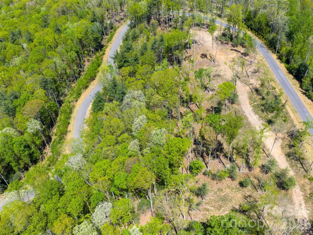 693 Tea House Drive #905 Asheville, NC 28803