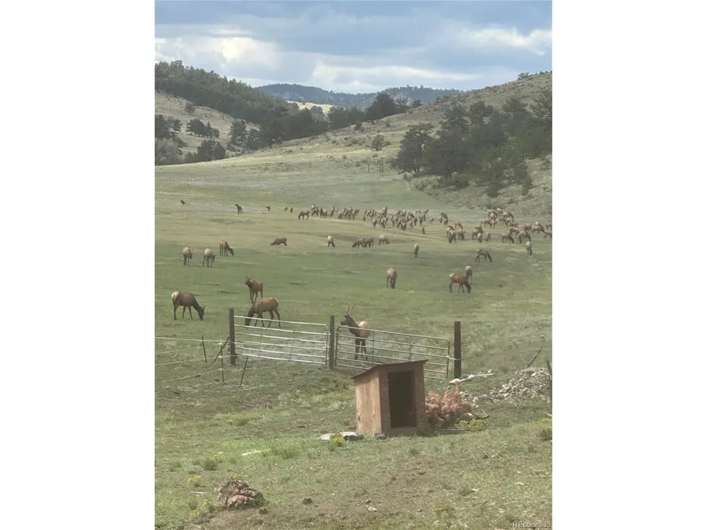 99 Peak Drive Guffey, CO 80820