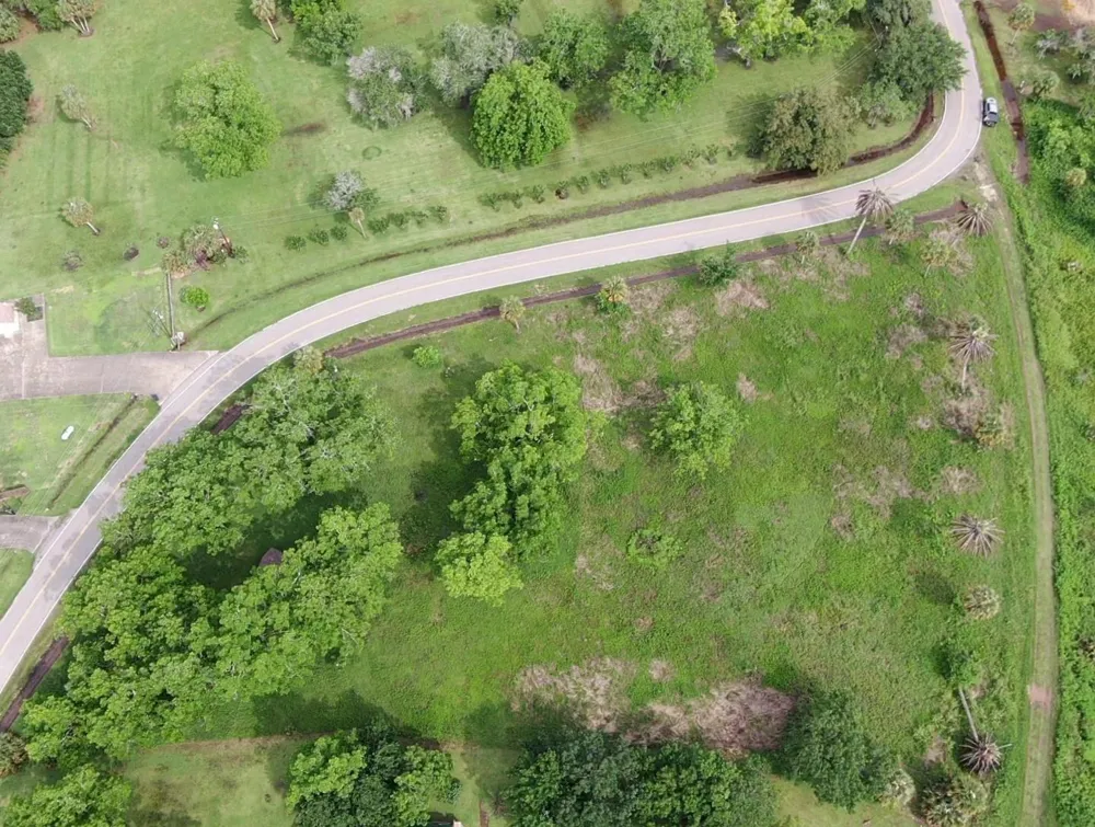 220 County Road 461 A Brazoria, TX 77422