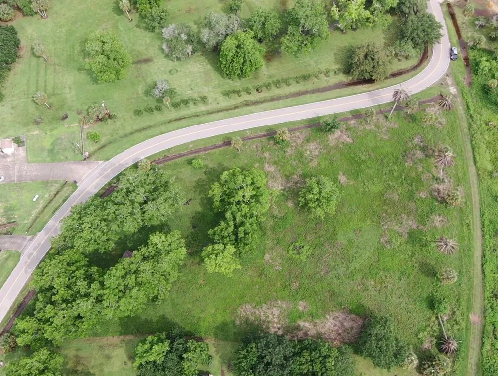 220 County Road 461 A Brazoria, TX 77422