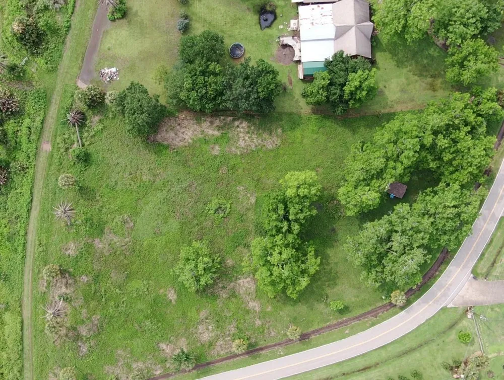 220 County Road 461 A Brazoria, TX 77422