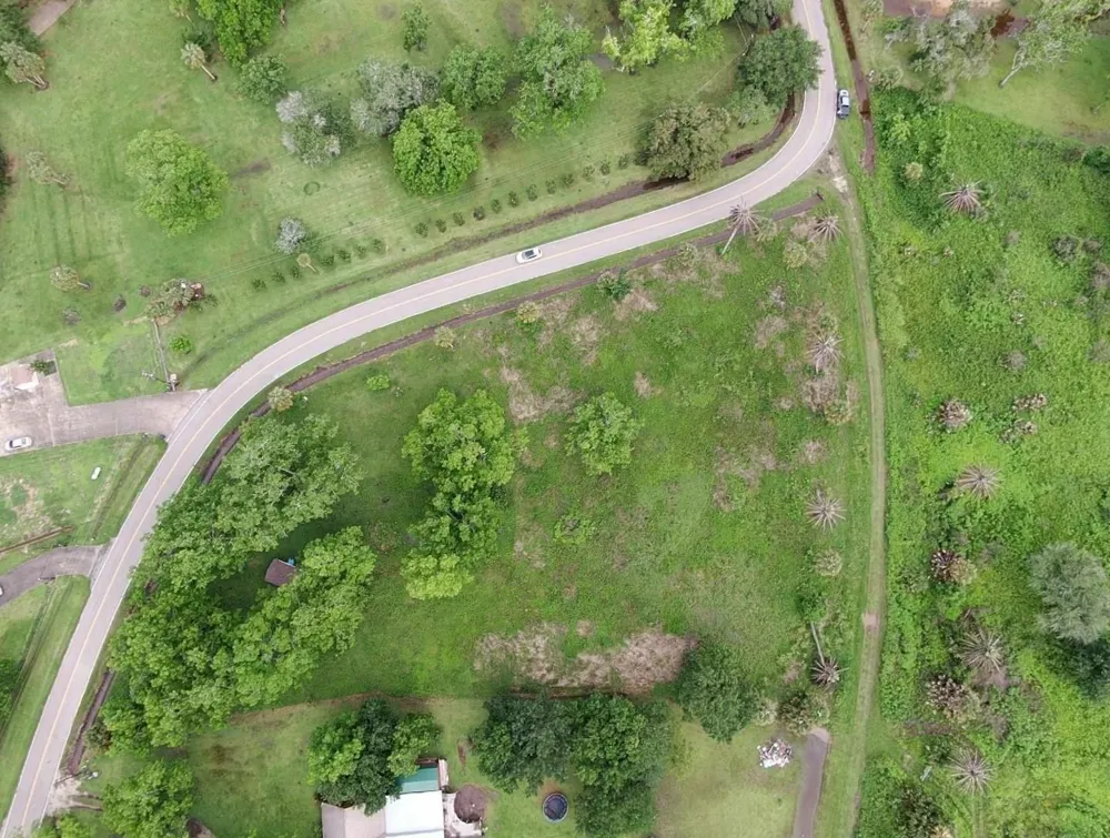 220 County Road 461 A Brazoria, TX 77422