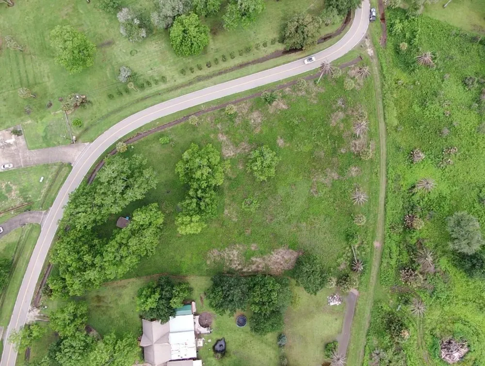 220 County Road 461 A Brazoria, TX 77422