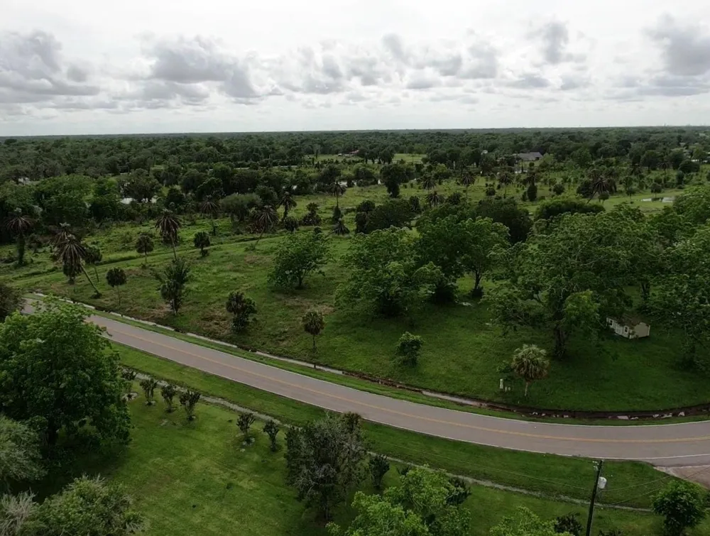 220 County Road 461 A Brazoria, TX 77422