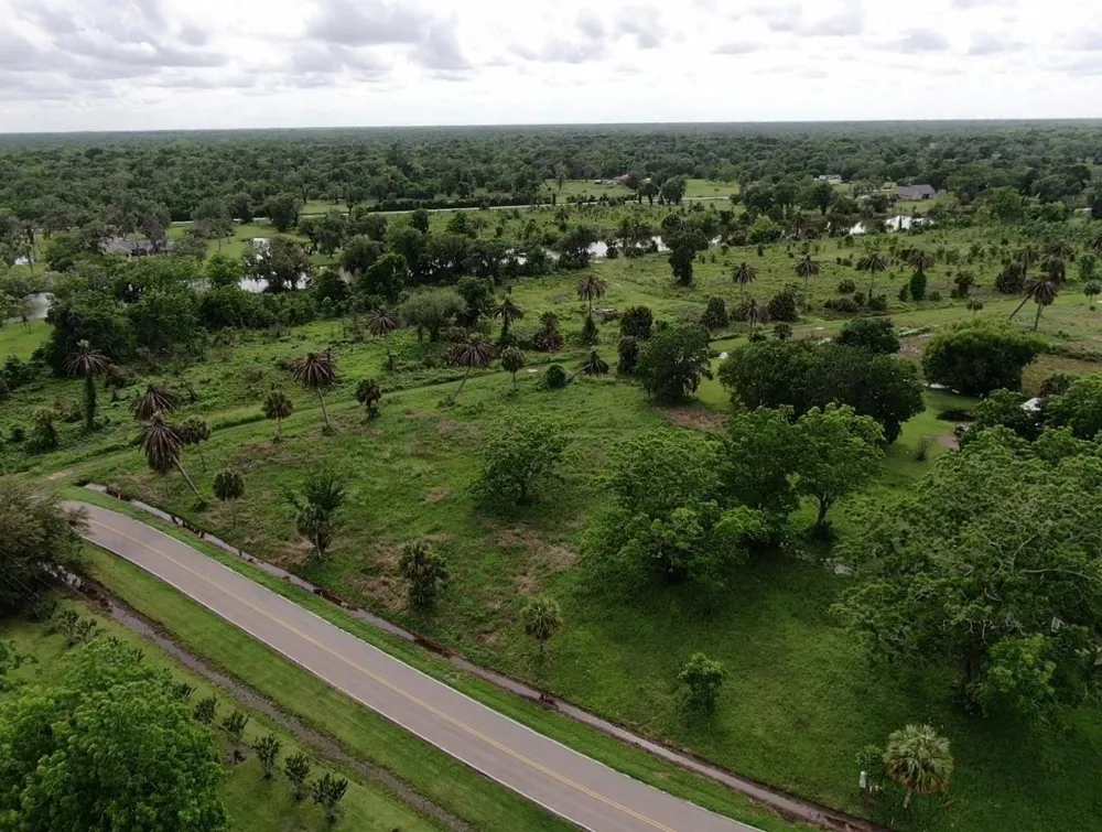 220 County Road 461 A Brazoria, TX 77422