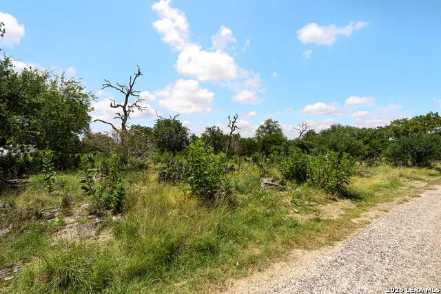 211 SPRING RD Fredericksburg, TX 78624