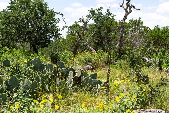 211 SPRING RD Fredericksburg, TX 78624