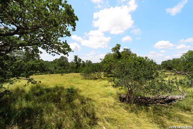 211 SPRING RD Fredericksburg, TX 78624