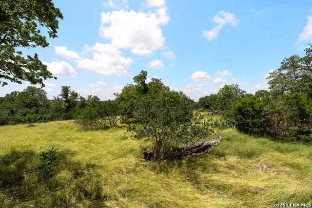 211 SPRING RD Fredericksburg, TX 78624