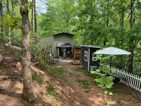 Brandon Lane