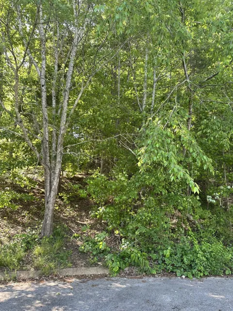 6900 Spinmaker Cove