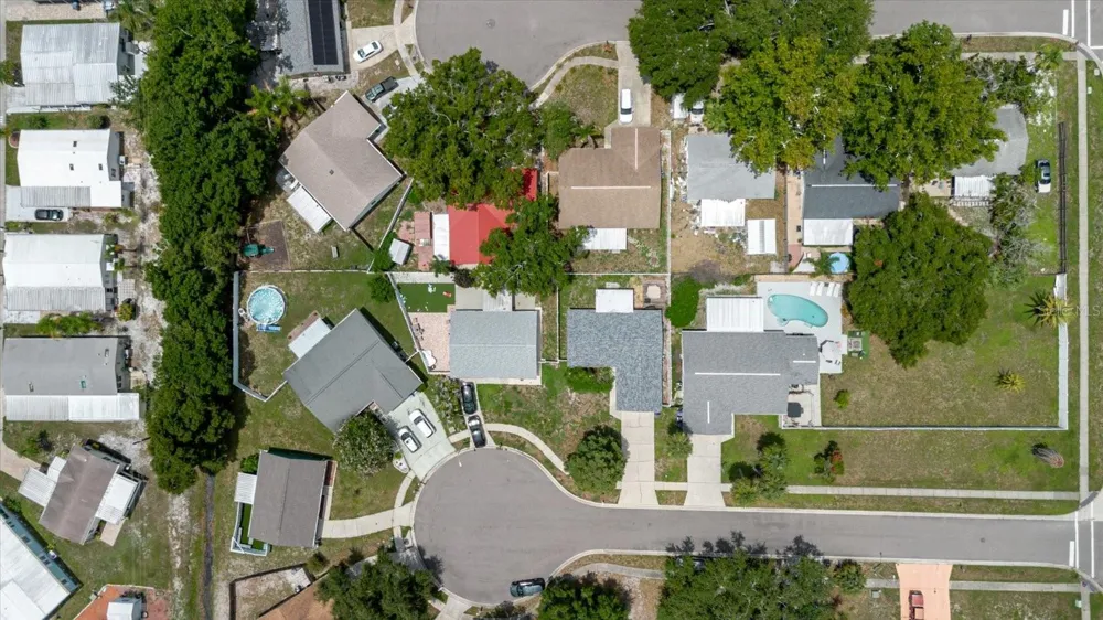 2009 PEPPERTREE COURT Oldsmar, FL 34677