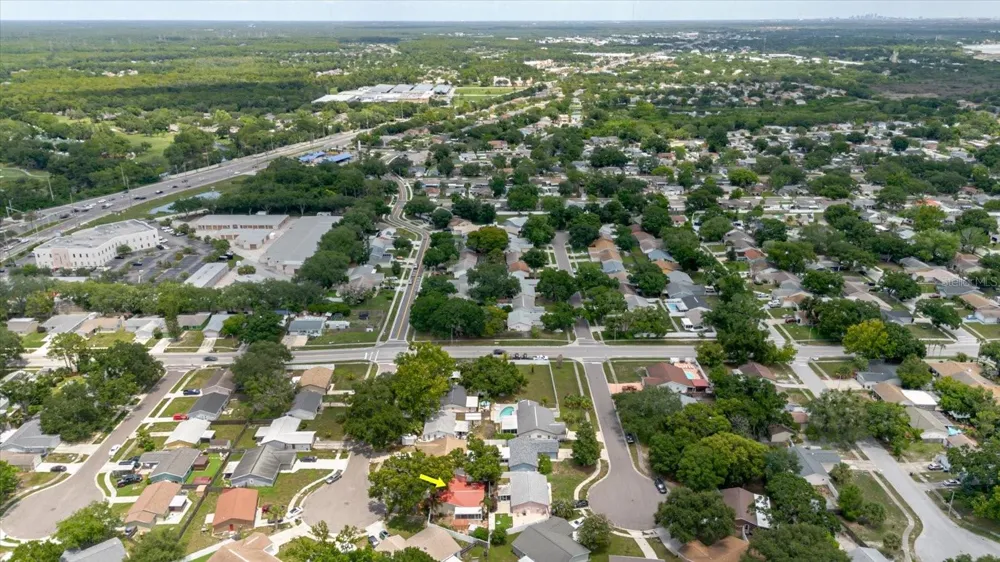 2009 PEPPERTREE COURT Oldsmar, FL 34677