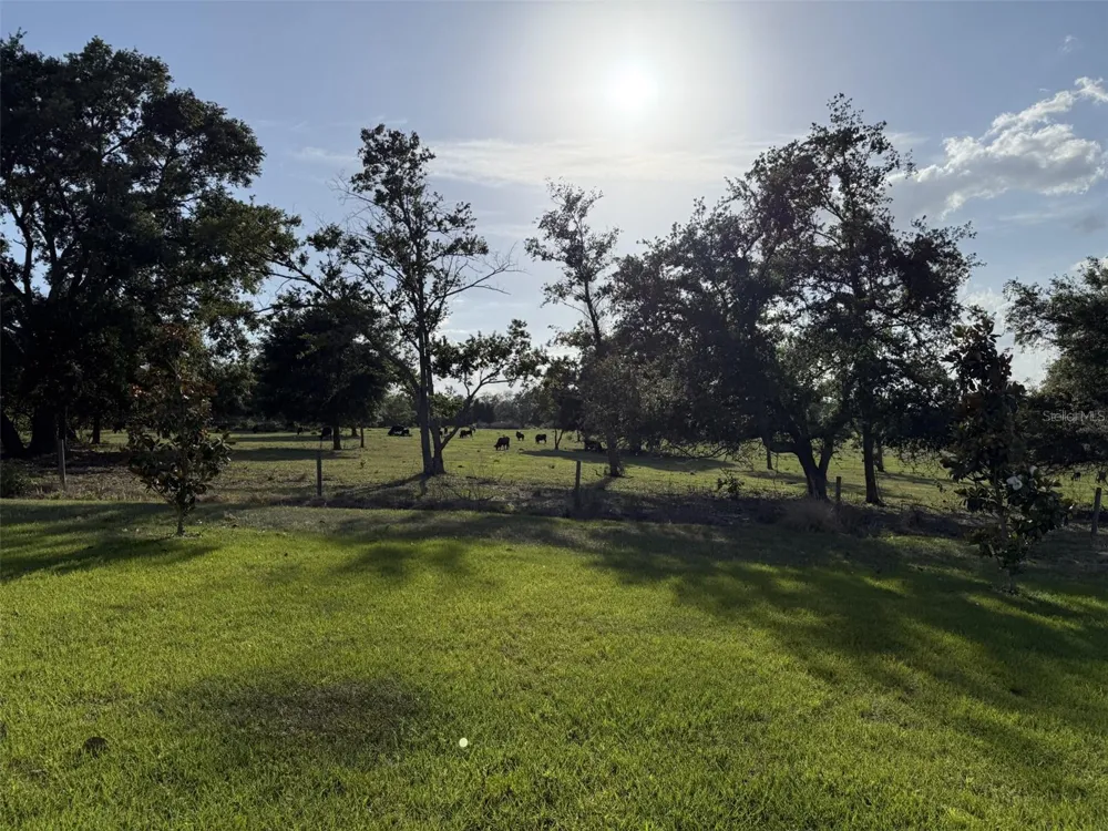 1507 GERANIUM DRIVE Mascotte, FL 34753