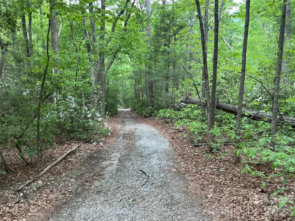 00 Green River Cove Road Saluda, NC 28773