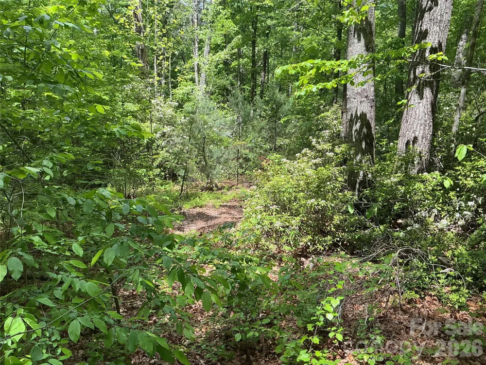 00 Green River Cove Road Saluda, NC 28773