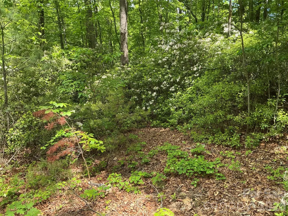 00 Green River Cove Road Saluda, NC 28773