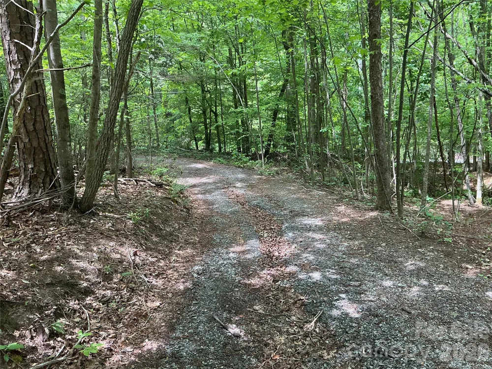 00 Green River Cove Road Saluda, NC 28773