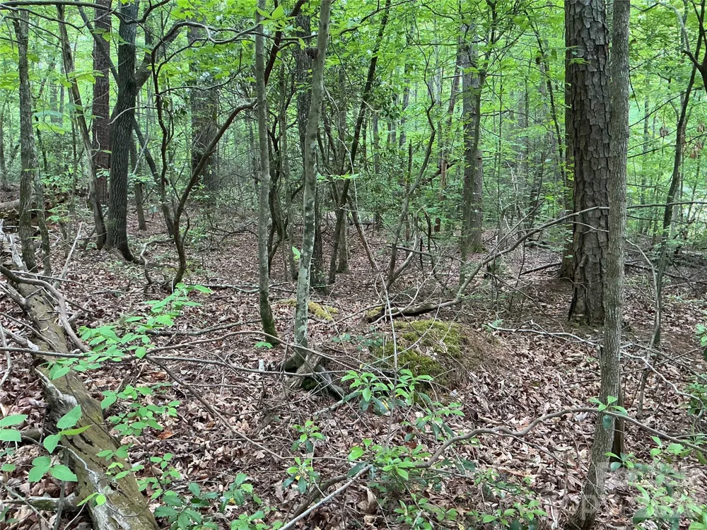 00 Green River Cove Road Saluda, NC 28773