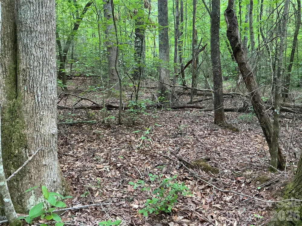 00 Green River Cove Road Saluda, NC 28773