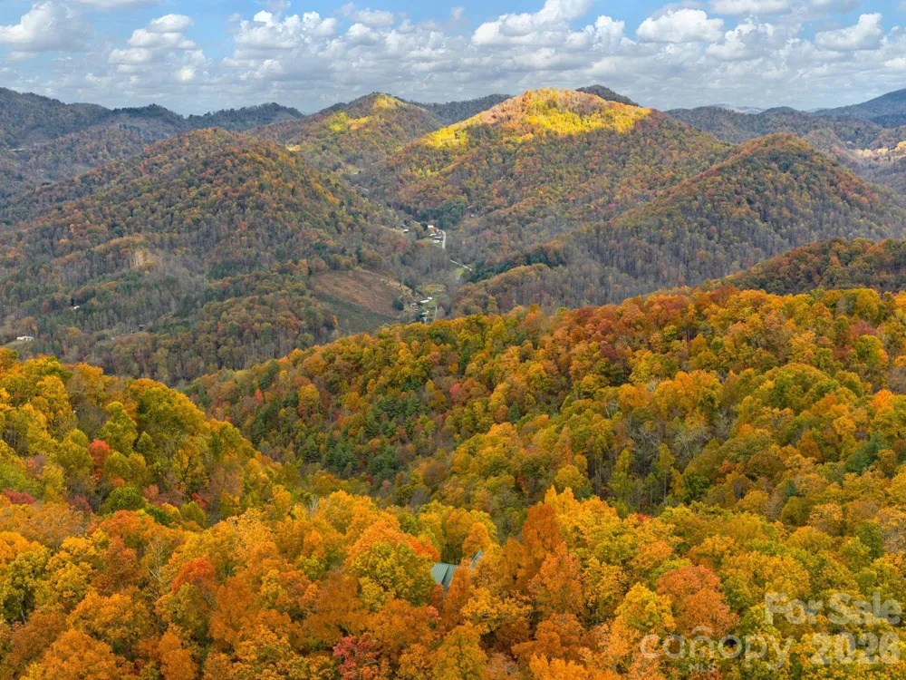1036 Forces Of Nature Trail Mars Hill, NC 28754